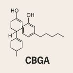 structure de la molécule cbga