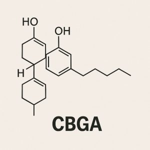 structure de la molécule cbga