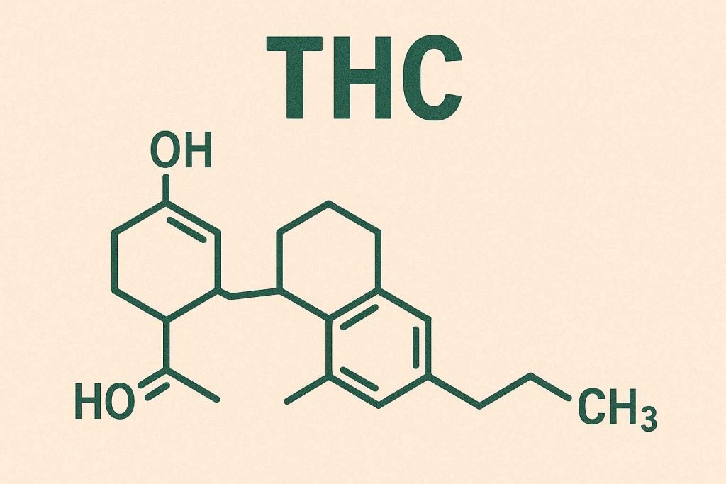 molécule thc
