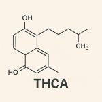 structure molecule thca