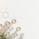 Macro de trichomes de cannabis produisant les cannabinoïdes, illustration scientifique