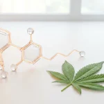 Molécule de cannabidiol CBD en rendu 3D près d une feuille de chanvre sur fond clair
