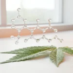 Molécule d acide cannabidiolique CBDA en rendu 3D au-dessus d une feuille de chanvre, sur fond clair