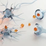 Visualisation du système endocannabinoïde, neurones et récepteurs, sur fond clair