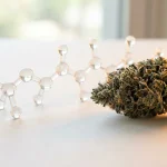 Molécule de THCP en rendu 3D près d une fleur de cannabis givrée, sur fond clair